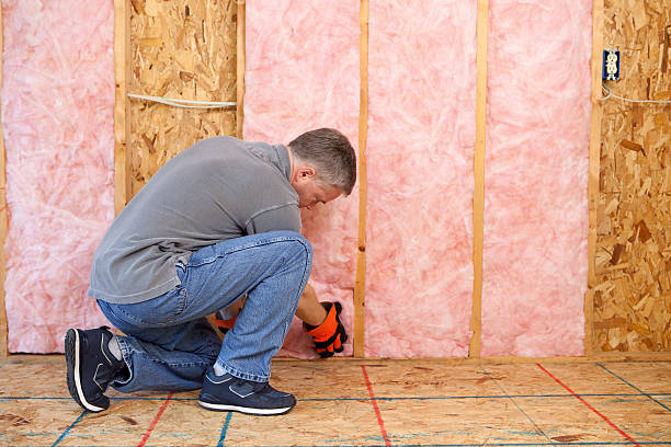 Best Specialized Insulation Services in Stanley, NC